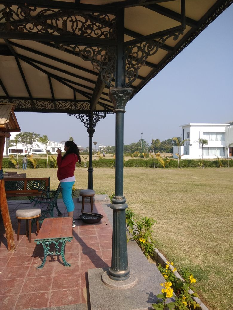 sample image