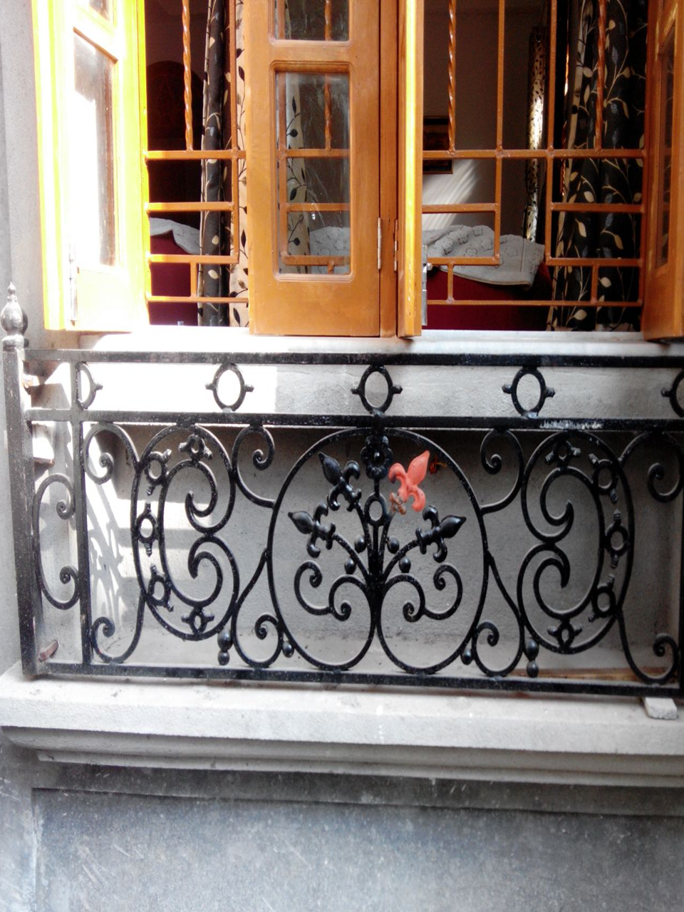 sample image